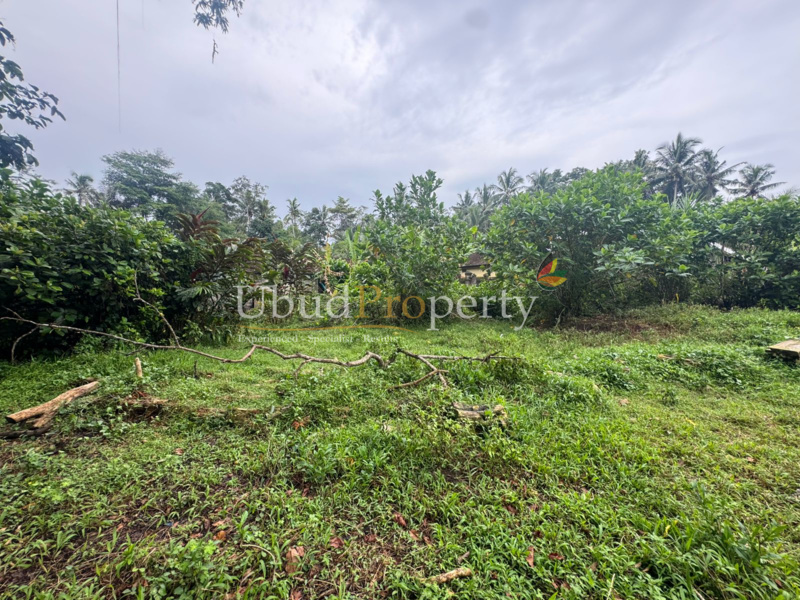 Ubud Property Land For Sale in Ubud Bali