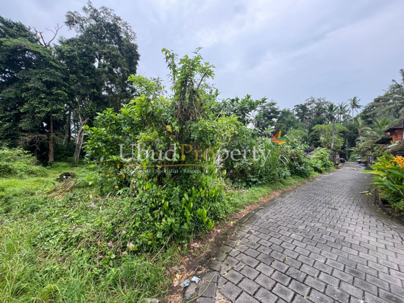 Ubud Property Land For Sale in Ubud Bali