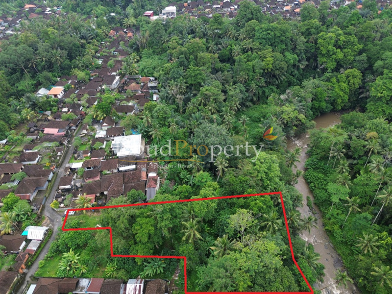 Ubud Property Land For Sale in Ubud Bali