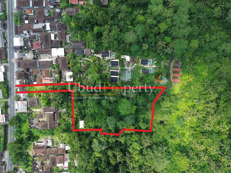 Land For Sale Leasehold in Ubud Bali