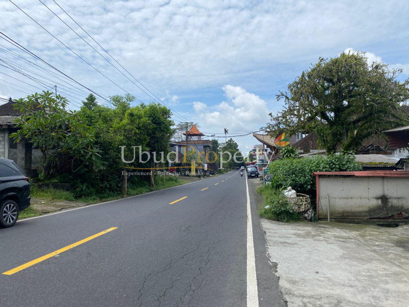 Ubud Property Land For Sale in Ubud Bali