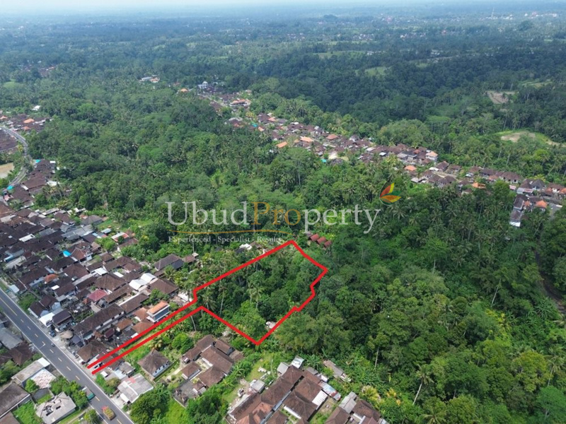 Ubud Property Land For Sale in Ubud Bali