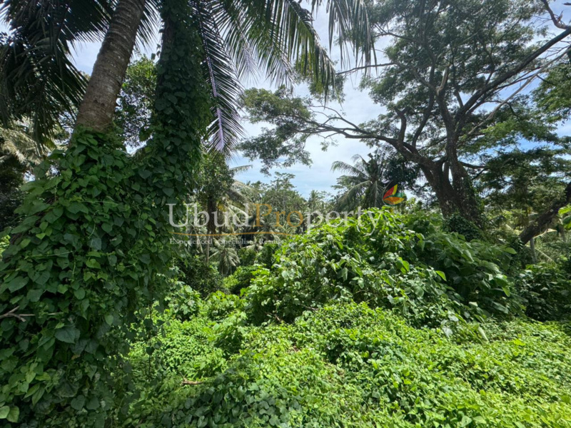 Ubud Property Land For Sale in Ubud Bali