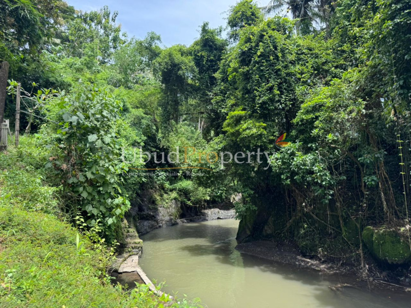 Ubud Property Land For Sale in Ubud Bali
