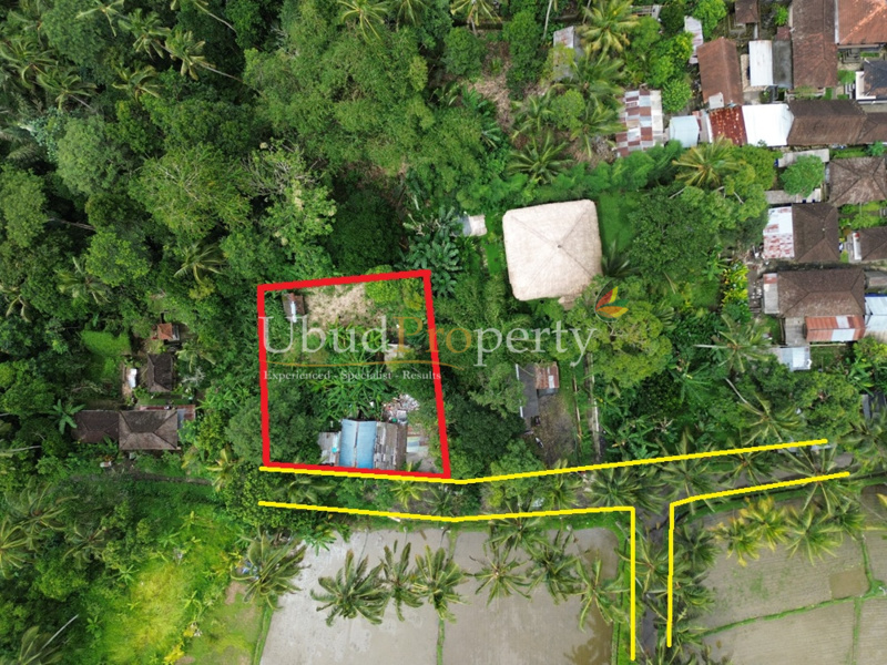 Land For Sale Leasehold in Ubud Bali
