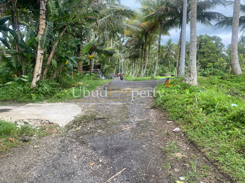Ubud Property Land For Sale in Ubud Bali