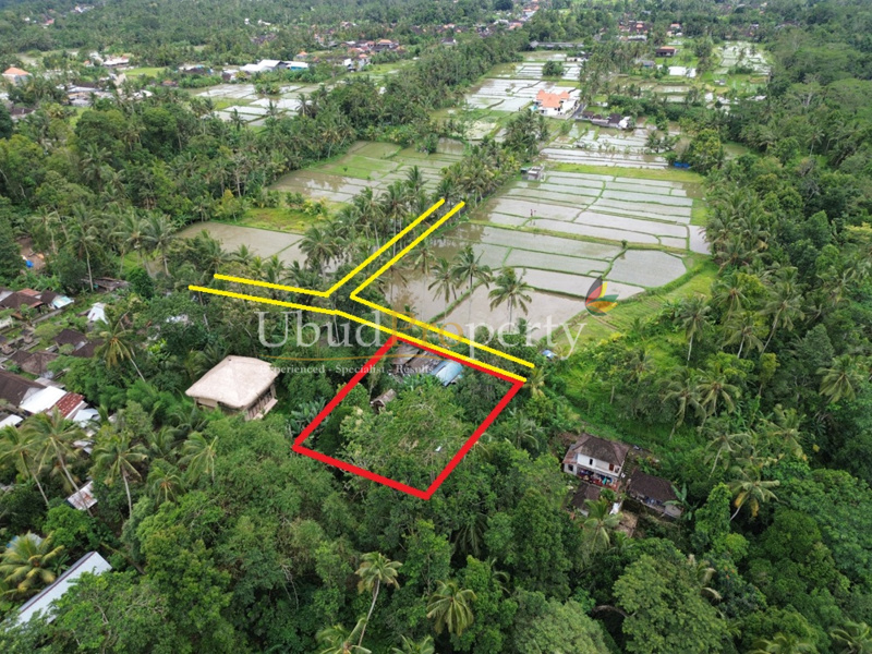 Ubud Property Land For Sale in Ubud Bali