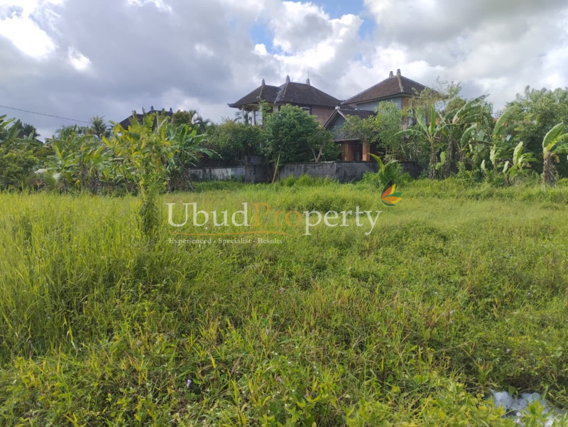 Ubud Property Land For Sale in Ubud Bali