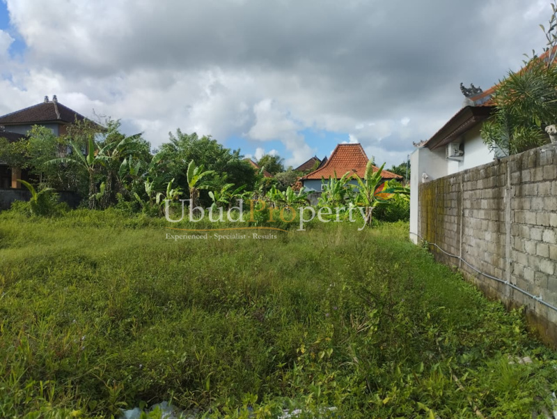 Ubud Property Land For Sale in Ubud Bali