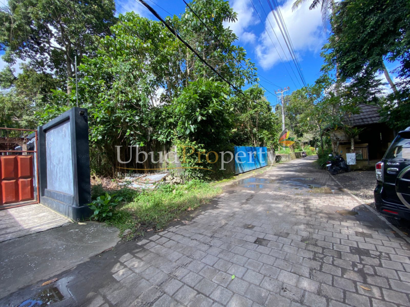 Ubud Property Land For Sale in Ubud Bali