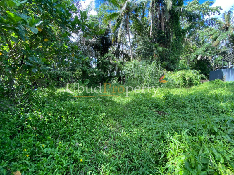 Ubud Property Land For Sale in Ubud Bali