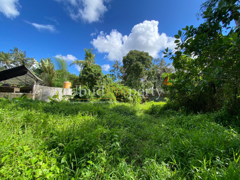 Ubud Property Land For Sale in Ubud Bali