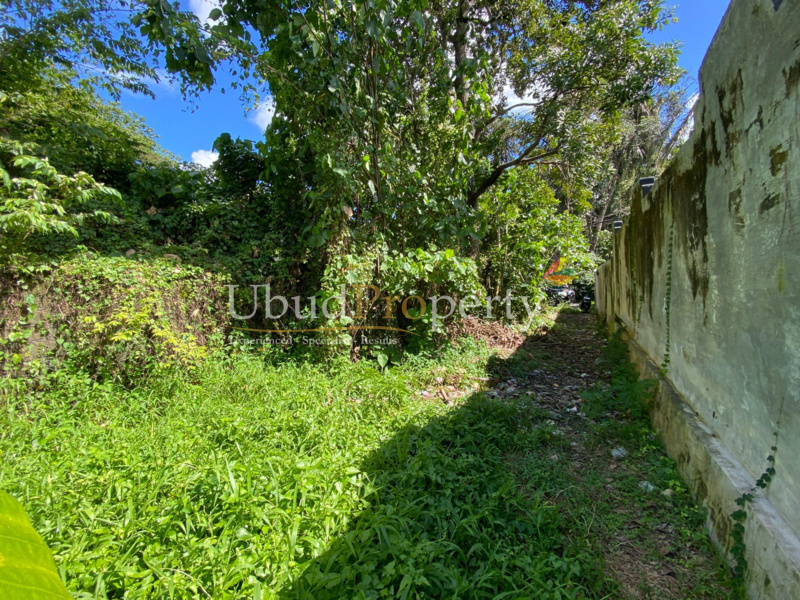 Ubud Property Land For Sale in Ubud Bali
