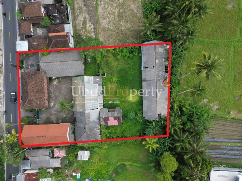 Land For Sale Leasehold in Ubud Bali