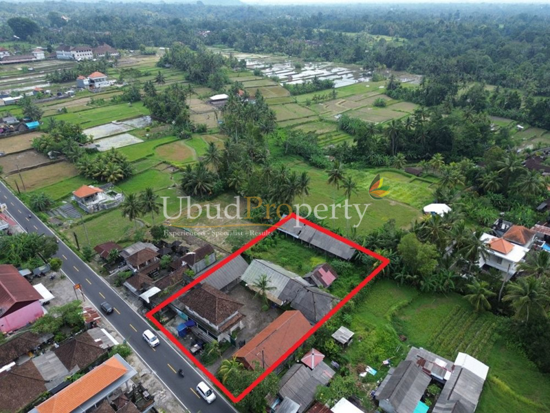 Ubud Property Land For Sale in Ubud Bali