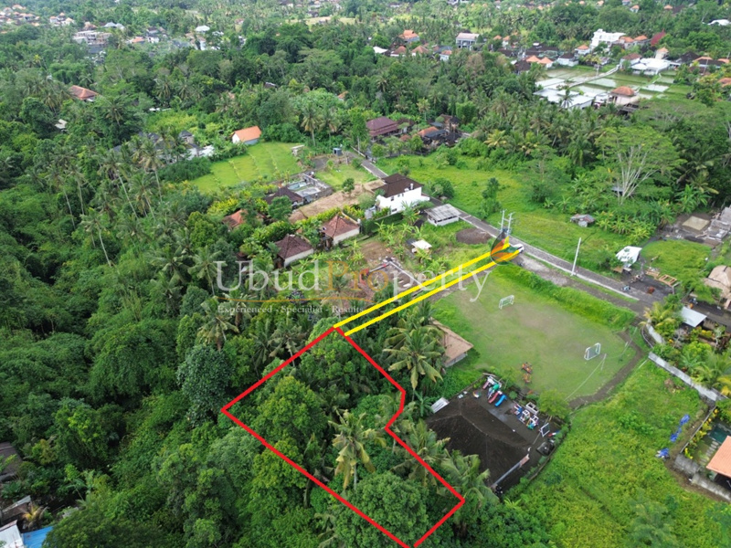 Land For Sale Freehold in Ubud Bali