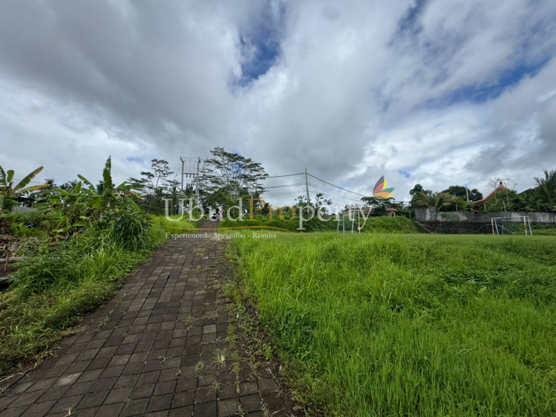 Ubud Property Land For Sale in Ubud Bali