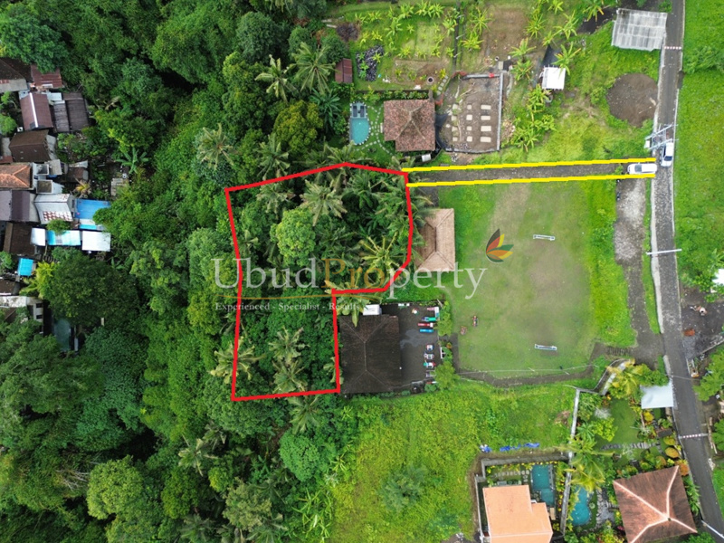 Ubud Property Land For Sale in Ubud Bali