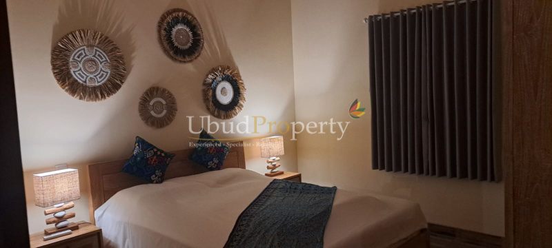 Ubud Property Villa For Sale in Ubud Bali