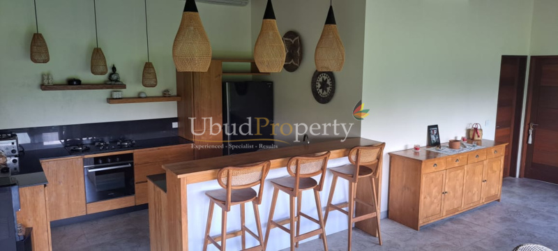 Ubud Property Villa For Sale in Ubud Bali