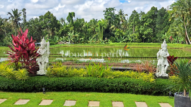 Ubud Property Villa For Sale in Ubud Bali