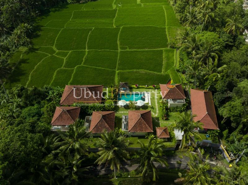 Villa For Sale Leasehold in Ubud Bali