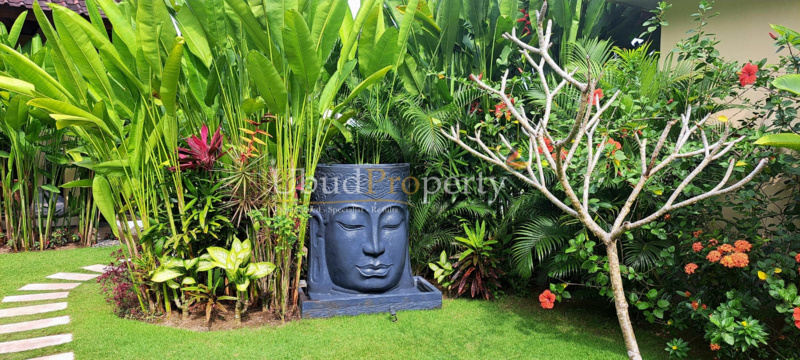 Ubud Property Villa For Sale in Ubud Bali