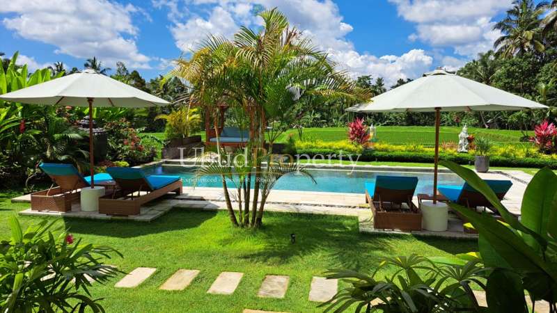 Ubud Property Villa For Sale in Ubud Bali