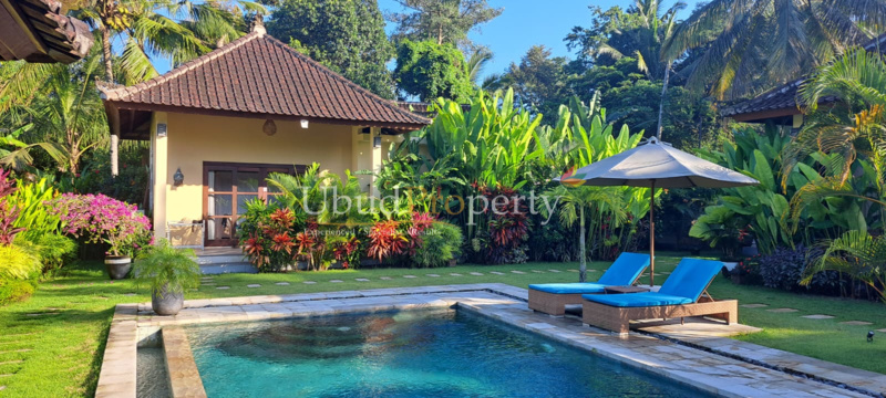 Ubud Property Villa For Sale in Ubud Bali