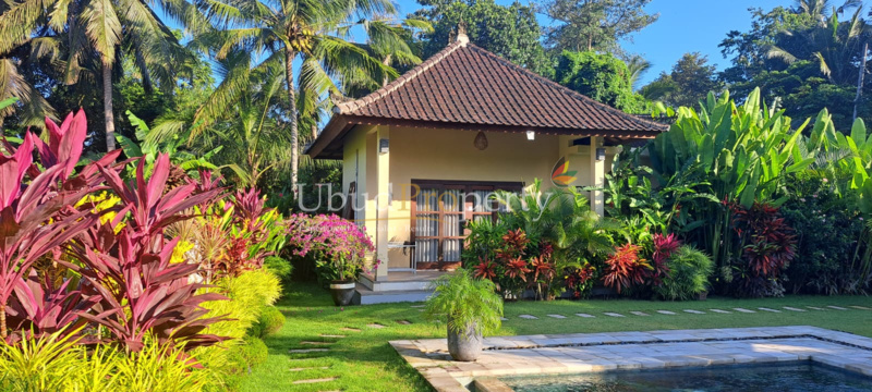 Ubud Property Villa For Sale in Ubud Bali