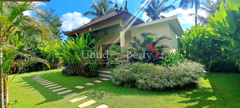 Ubud Property Villa For Sale in Ubud Bali