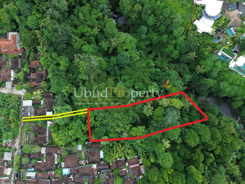 Land For Sale Freehold in Ubud Bali