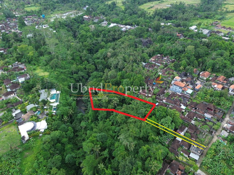 Ubud Property Land For Sale in Ubud Bali