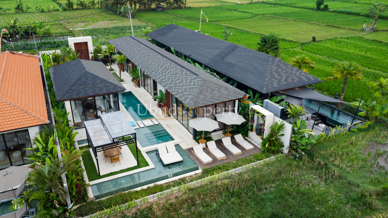 Ubud Property Villa For Sale in Ubud Bali