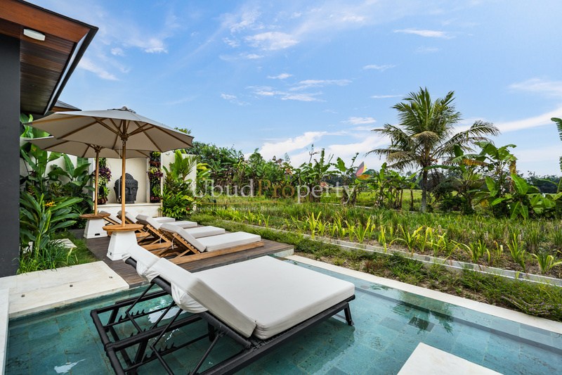 Ubud Property Villa For Sale in Ubud Bali
