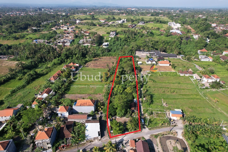 Land For Sale Leasehold in Ubud Bali
