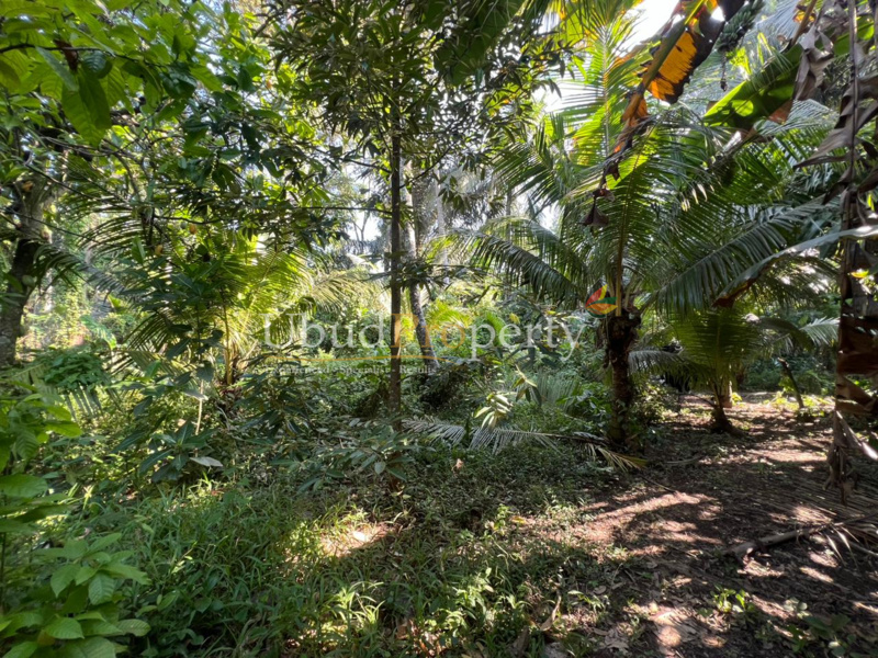 Ubud Property Land For Sale in Ubud Bali