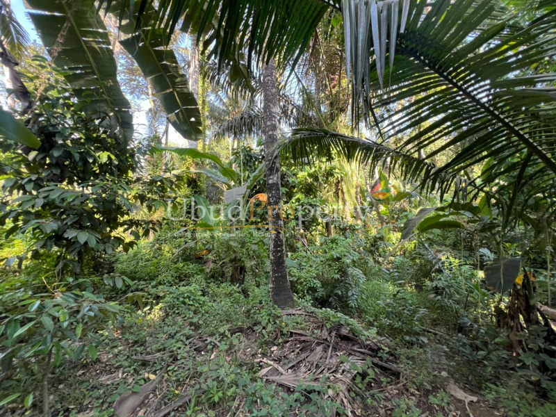 Ubud Property Land For Sale in Ubud Bali