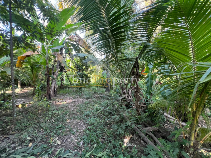 Ubud Property Land For Sale in Ubud Bali