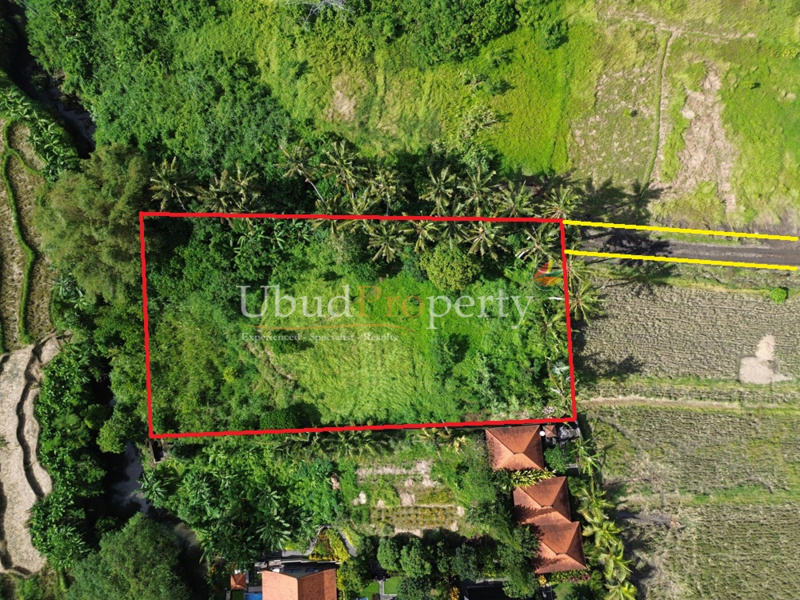 Land For Sale Leasehold in Ubud Bali