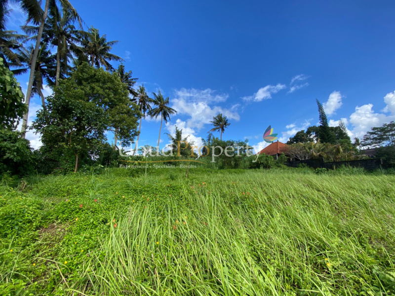 Ubud Property Land For Sale in Ubud Bali