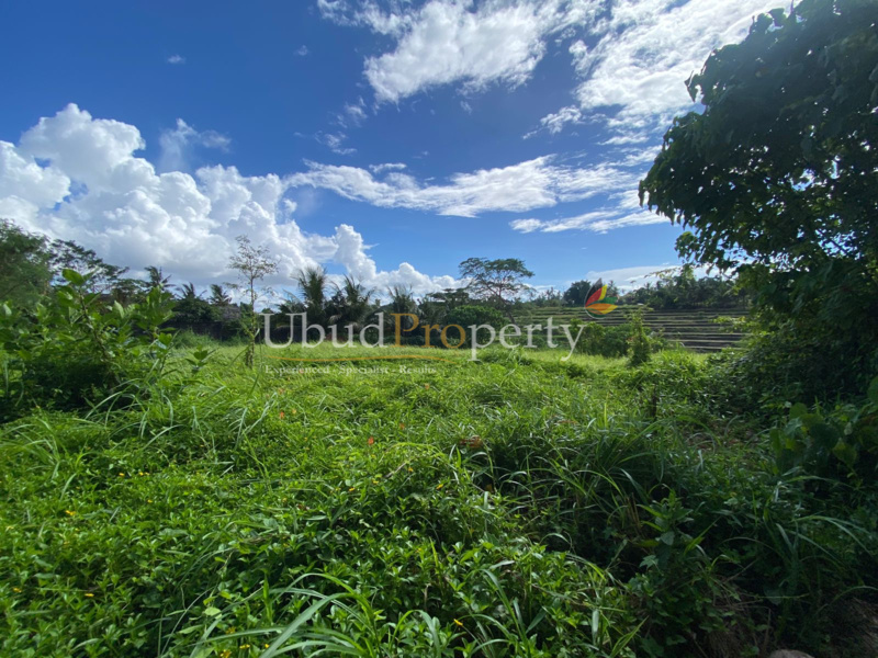 Ubud Property Land For Sale in Ubud Bali