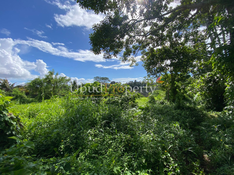 Ubud Property Land For Sale in Ubud Bali