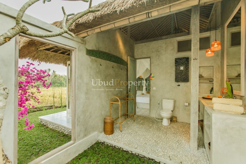 Ubud Property Villa For Sale in Ubud Bali