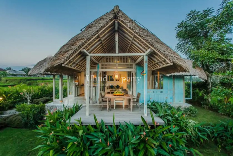 Ubud Property Villa For Sale in Ubud Bali