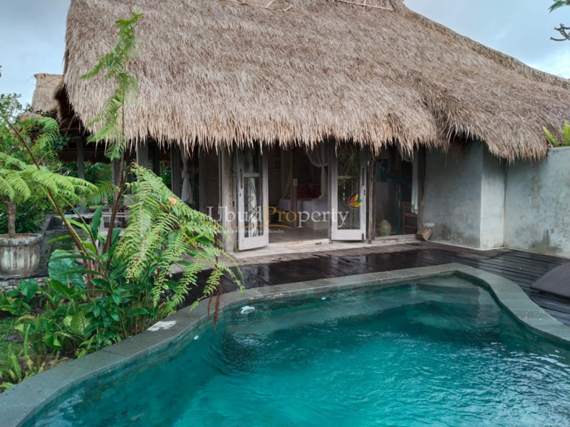 Ubud Property Villa For Sale in Ubud Bali