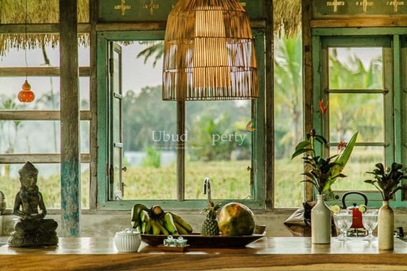 Ubud Property Villa For Sale in Ubud Bali