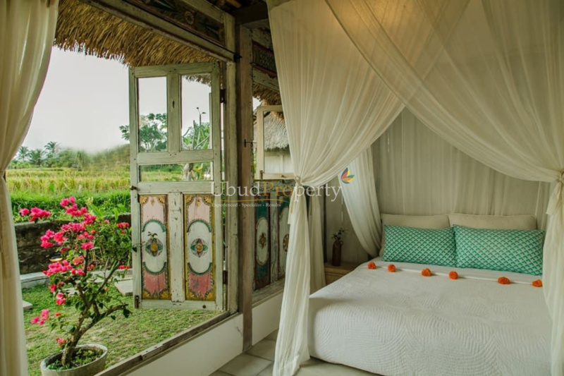 Ubud Property Villa For Sale in Ubud Bali