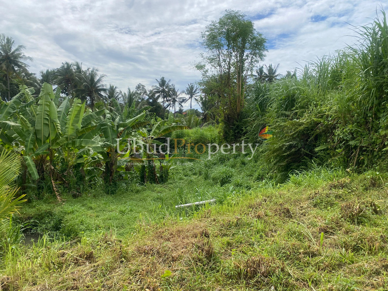 Ubud Property Land For Sale in Ubud Bali