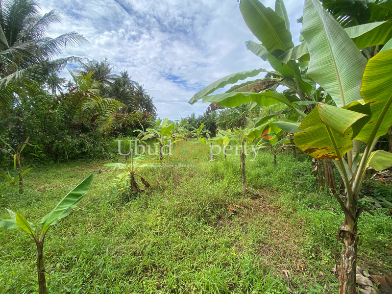 Ubud Property Land For Sale in Ubud Bali